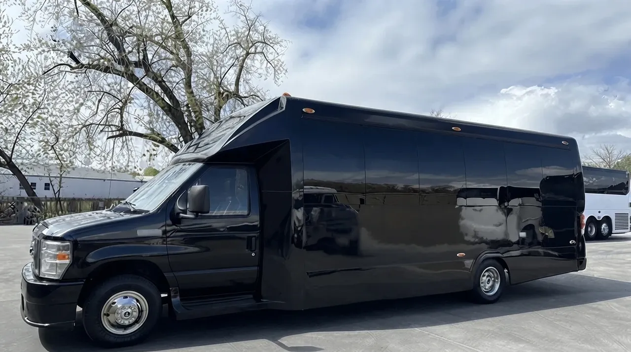 20 Passenger Luxury Mini Coach to rent