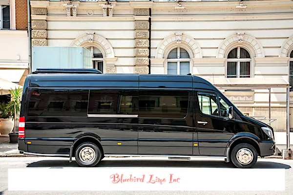 12 Passenger Charter Sprinter to rent