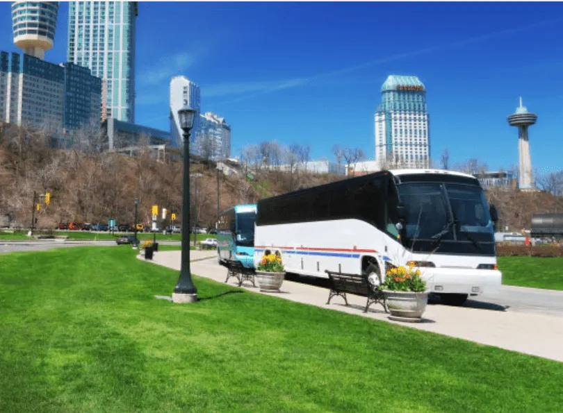 White 55 Passenger Charter Bus to rent