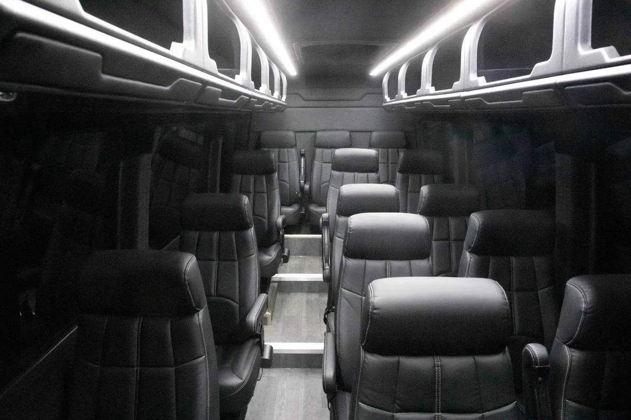 14 Passenger Executive Sprinter Van cabin view with overhead parcel racks