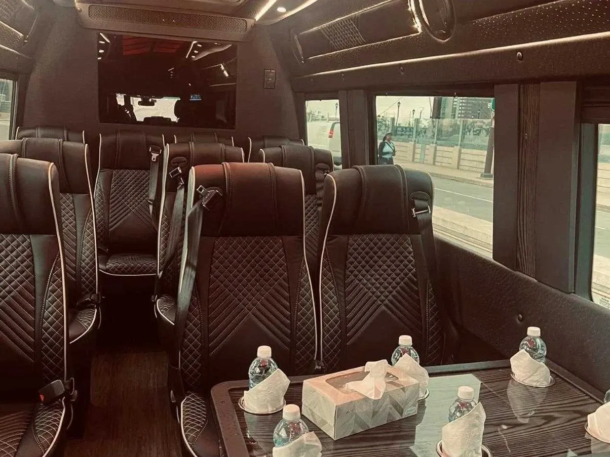 Black Mercedes-Benz Executive Sprinter, angle 6