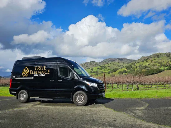 Mercedes-Benz Sprinter Executive Van to rent