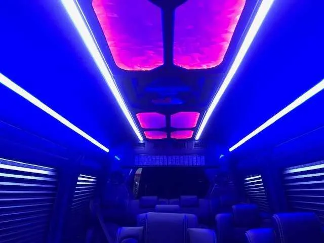 11 Passenger Mercedes-Benz Sprinter Luxury cabin view with window shades, LED accent lighting and LED ceiling lighting