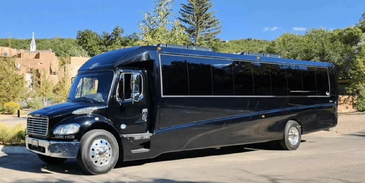 Black Mini Coach Executive with tinted windows
