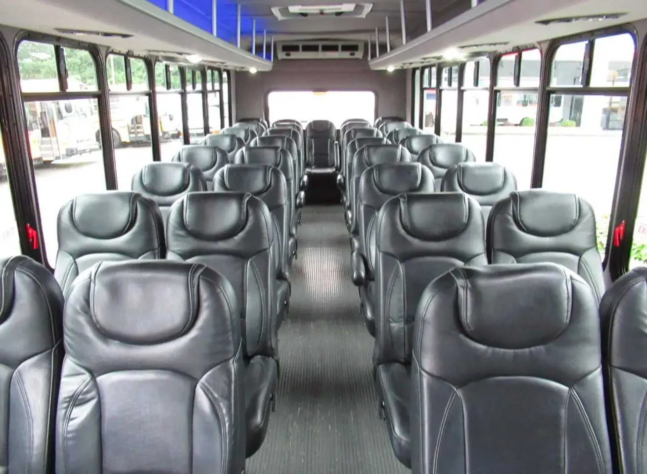 Mini Coach Executive cabin view with overhead parcel racks