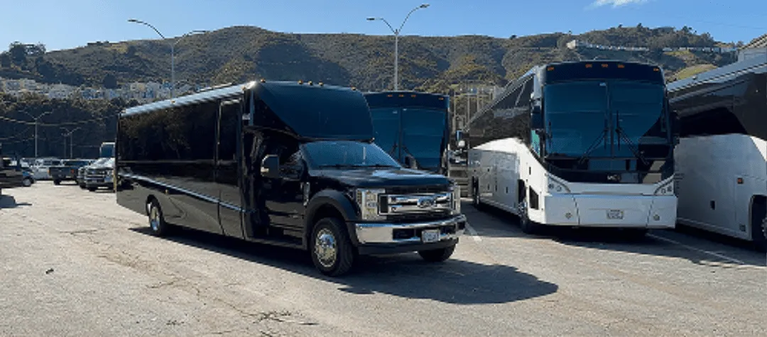 Black 20 Passenger Minibus with tinted windows